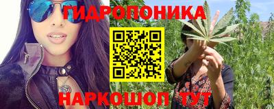 прущая мука Кимры