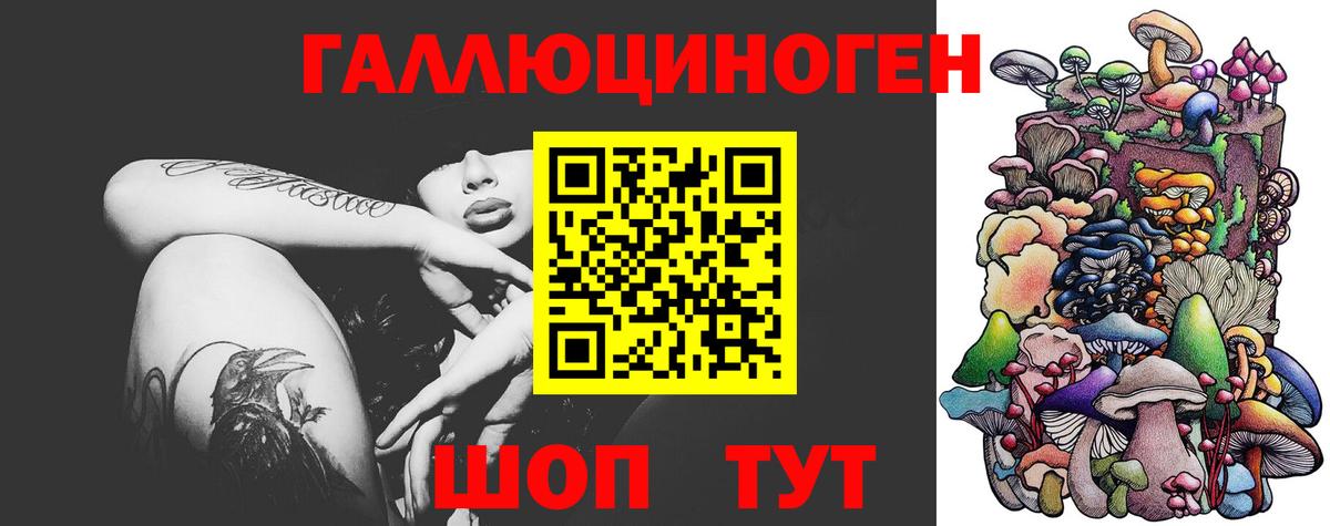 Псилоцибиновые грибы Psilocybe Усинск